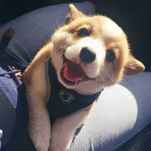 YUE的晚安陪伴